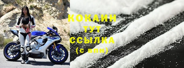 Альфа ПВП Дмитриев